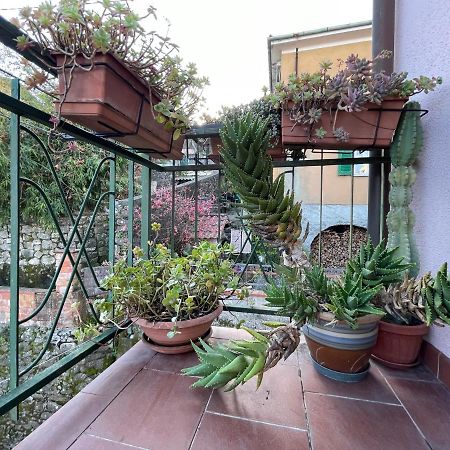 Tra Alpi Apuane E Cinque Terre.. Casetta Renata! Villa Valeriano Lunense Buitenkant foto