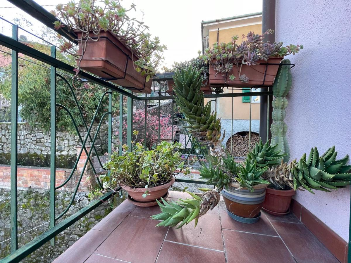 Tra Alpi Apuane E Cinque Terre.. Casetta Renata! Villa Valeriano Lunense Buitenkant foto